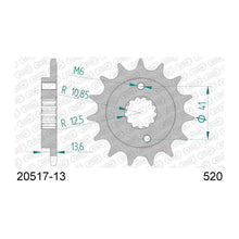 Lade das Bild in den Galerie-Viewer, AFAM Ritzel 520, 13 Zähne
